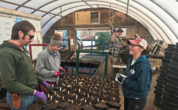 4 Qualities that Attract Millennials to the Horticulture Industry