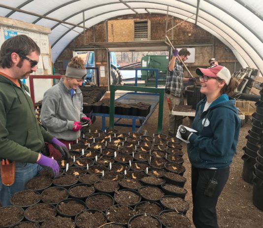 4 Qualities that Attract Millennials to the Horticulture Industry