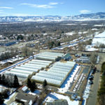 Brown’s Greenhouse: Expanding to Meet Demand for High-Quality Selections