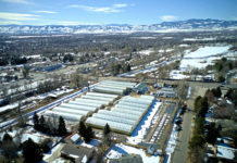 Brown’s Greenhouse: Expanding to Meet Demand for High-Quality Selections