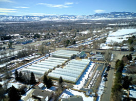 Brown’s Greenhouse: Expanding to Meet Demand for High-Quality Selections