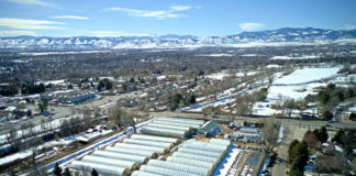 Brown’s Greenhouse: Expanding to Meet Demand for High-Quality Selections