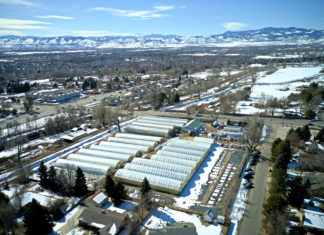 Brown’s Greenhouse: Expanding to Meet Demand for High-Quality Selections