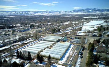 Brown’s Greenhouse: Expanding to Meet Demand for High-Quality Selections