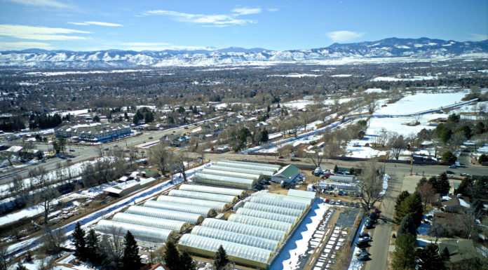 Brown’s Greenhouse: Expanding to Meet Demand for High-Quality Selections