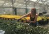 Propagating our Futures – A Millennial’s Perspective on the Green Industry woman watering plants