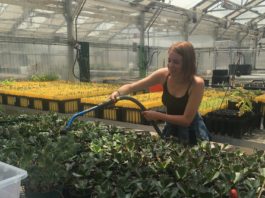 Propagating our Futures – A Millennial’s Perspective on the Green Industry woman watering plants