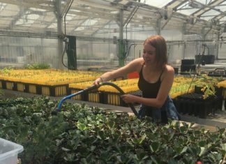 Propagating our Futures – A Millennial’s Perspective on the Green Industry woman watering plants
