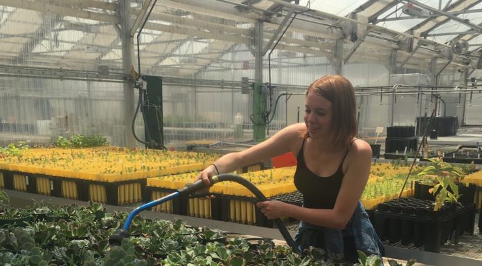Propagating our Futures – A Millennial’s Perspective on the Green Industry woman watering plants