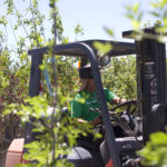 Tips for New Hires & Young Employees