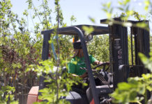 Tips for New Hires & Young Employees