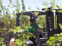 Tips for New Hires & Young Employees