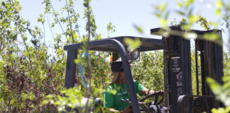 Tips for New Hires & Young Employees