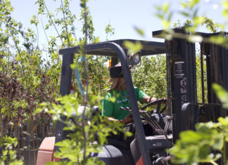 Tips for New Hires & Young Employees