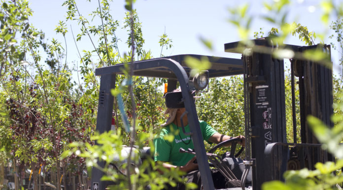 Tips for New Hires & Young Employees