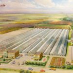 Ball Seed: Breeding & Distributing Plants with Superior Performance