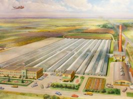 Ball Seed: Breeding & Distributing Plants with Superior Performance