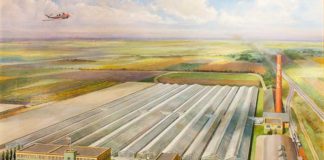 Ball Seed: Breeding & Distributing Plants with Superior Performance