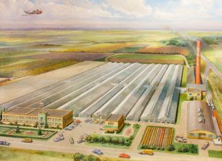 Ball Seed: Breeding & Distributing Plants with Superior Performance