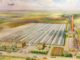 Ball Seed: Breeding & Distributing Plants with Superior Performance