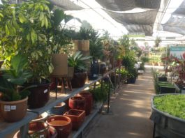 Front Range Gardens: Established Garden Center with Expanded Product Selection