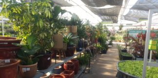 Front Range Gardens: Established Garden Center with Expanded Product Selection