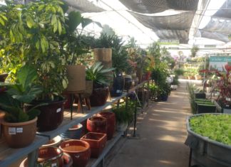 Front Range Gardens: Established Garden Center with Expanded Product Selection