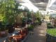 Front Range Gardens: Established Garden Center with Expanded Product Selection