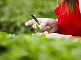 The Ins & Outs of Importing: How to Work Well with Suppliers & Customers