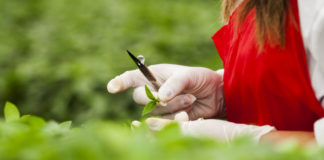 The Ins & Outs of Importing: How to Work Well with Suppliers & Customers