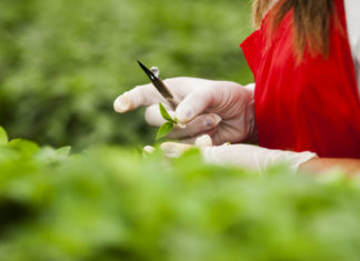 The Ins & Outs of Importing: How to Work Well with Suppliers & Customers