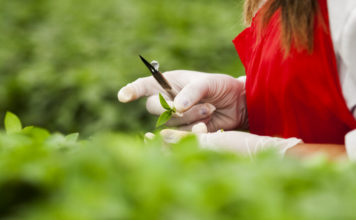 The Ins & Outs of Importing: How to Work Well with Suppliers & Customers