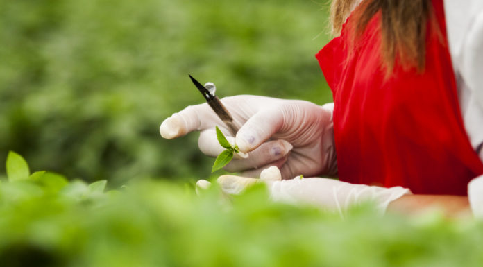 The Ins & Outs of Importing: How to Work Well with Suppliers & Customers