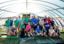 Our Experience with the Paycheck Protection Program