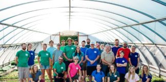 Our Experience with the Paycheck Protection Program