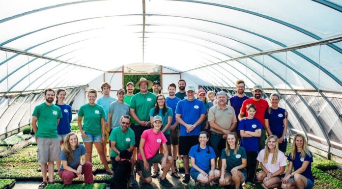 Our Experience with the Paycheck Protection Program