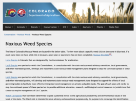 How to Help Customers with Weed Problems