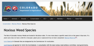 How to Help Customers with Weed Problems