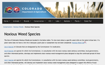 How to Help Customers with Weed Problems