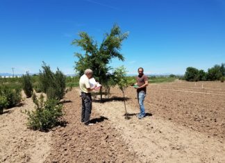 Innovating New Avenues for Serving the Industry jim and eric standing in field