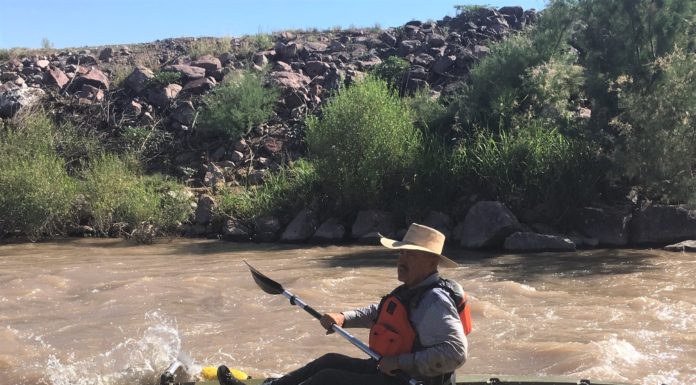Plants of the Rio Grande: Tree Farm Specializing in Alligator Juniper, Gila Monster & Pinons