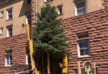 Sopris Tree & Landscape Supply: Natural Mulch Producer & Supplier of High-Quality Trees