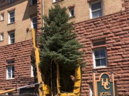 Sopris Tree & Landscape Supply: Natural Mulch Producer & Supplier of High-Quality Trees