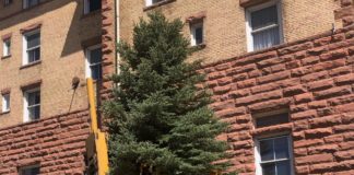 Sopris Tree & Landscape Supply: Natural Mulch Producer & Supplier of High-Quality Trees