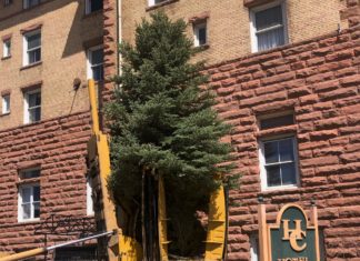 Sopris Tree & Landscape Supply: Natural Mulch Producer & Supplier of High-Quality Trees