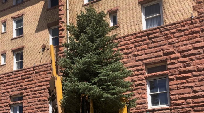 Sopris Tree & Landscape Supply: Natural Mulch Producer & Supplier of High-Quality Trees