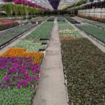 No Time Like the Present to Spend Conservatively