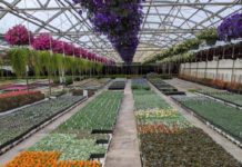 No Time Like the Present to Spend Conservatively