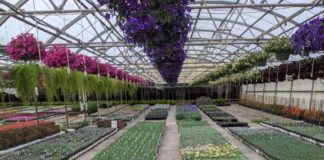 No Time Like the Present to Spend Conservatively