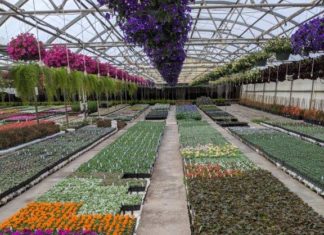 No Time Like the Present to Spend Conservatively